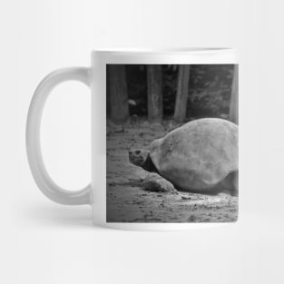 Tortoise Relaxing Mug